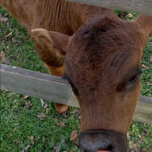 Meet your Posher, Skylar